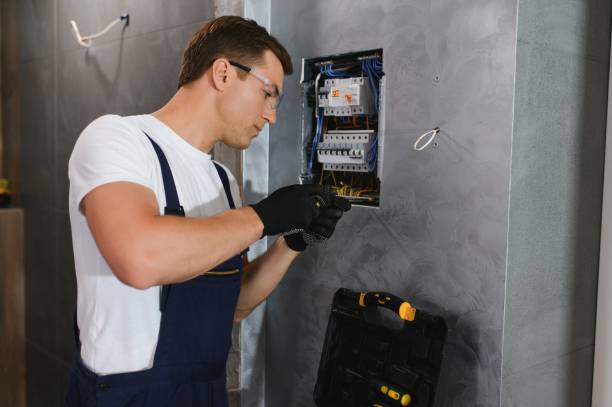 Best Electrical Upgrades for Homes  in Salina, UT